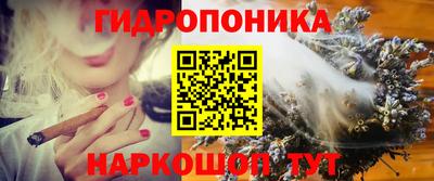 mdpv Кингисепп