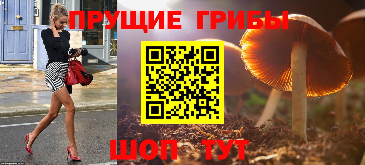 Галлюциногенные грибы ЛСД Северодвинск