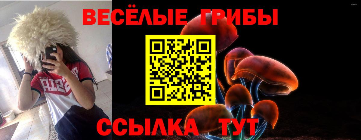 Галлюциногенные грибы Psilocybe  Галлюциногенные грибы Psilocybine cubensis  Северодвинск  Вход с VPN 